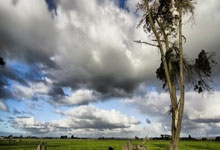 中国男子篮球如何突破瓶颈实现新跨越？